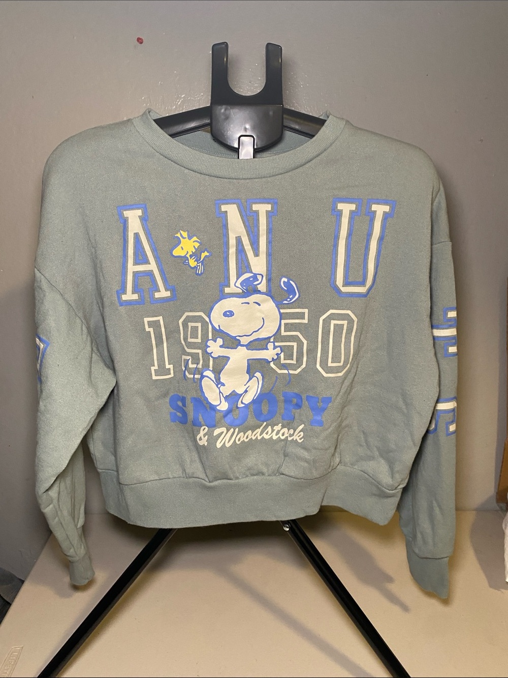 Girls Peanuts Sage Crewneck Sweatshirt with Snoopy & Woodstock Graphic